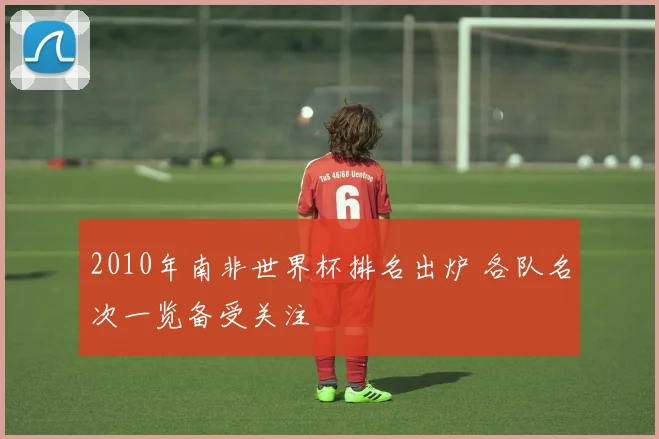 2010年南非世界杯排名出炉 各队名次一览备受关注